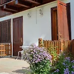 Vila Panselutelor 6